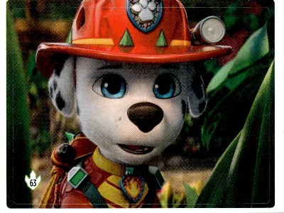 Vorderseite