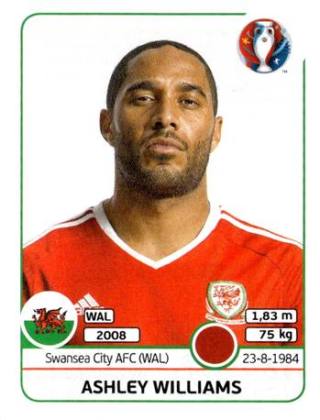 Ashley Williams – UEFA Euro 2016 France, n. 182