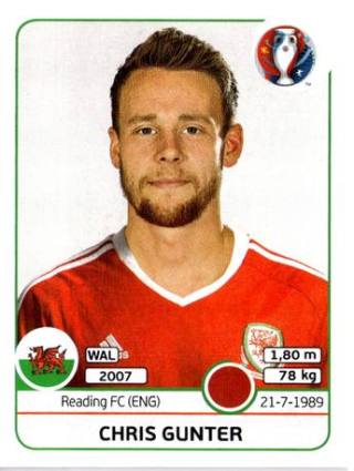 Chris Gunter – UEFA Euro 2016 France, Nr. 185