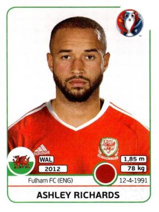 Ashley Richards – UEFA Euro 2016 France, Nr. 187