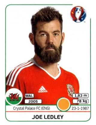 Joe Ledley – UEFA Euro 2016 France, Nr. 192