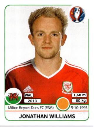Jonathan Williams – UEFA Euro 2016 France, Nr. 193