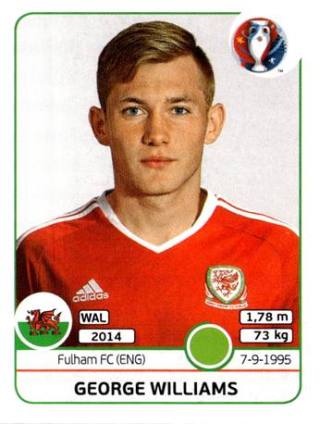George Williams – UEFA Euro 2016 France, Nr. 196