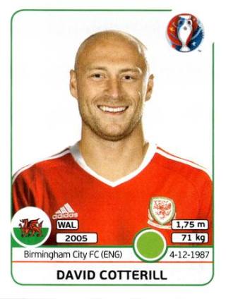 David Cotterill – UEFA Euro 2016 France, Nr. 197