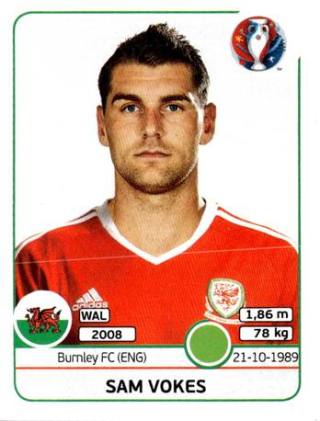 Sam Vokes – UEFA Euro 2016 France, Nr. 199