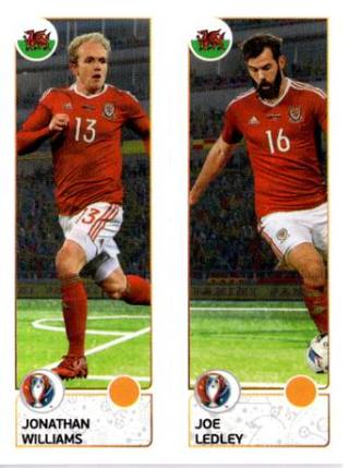 Jonathan Williams / Joe Ledley – UEFA Euro 2016 France, Nr. 204