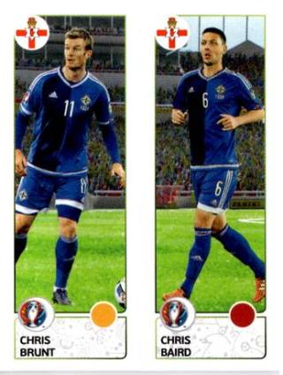 Chris Brunt / Chris Baird – UEFA Euro 2016 France, Nr. 322