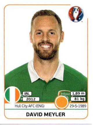David Meyler – UEFA Euro 2016 France, Nr. 525