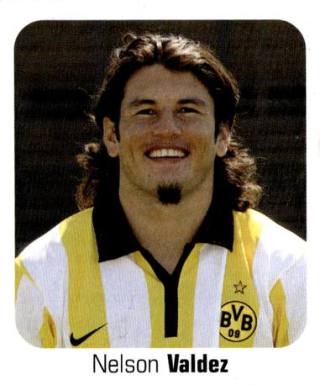 Nelson Valdez – Bundesliga Fussball 2006/07, Nr. 193