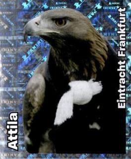 Attila – Bundesliga Fussball 2008/09, Nr. 173