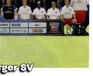 Mannschaft – Bundesliga Fussball 2008/09, Nr. 198