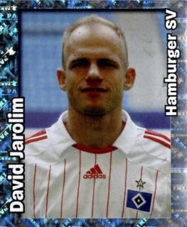 David Jarolím – Bundesliga Fussball 2008/09, Nr. 211