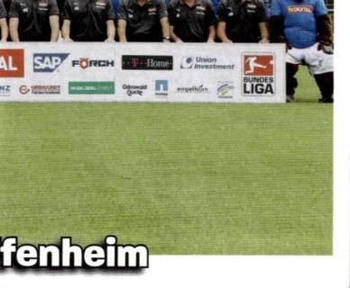 Mannschaft – Bundesliga Fussball 2008/09, Nr. 252