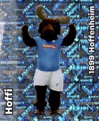 Hoffi – Bundesliga Fussball 2008/09, n. 254