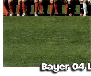 Mannschaft – Bundesliga Fussball 2008/09, n. 332