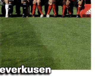 Mannschaft – Bundesliga Fussball 2008/09, n. 333