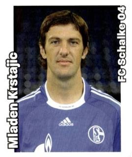 Mladen Krstajić – Bundesliga Fussball 2008/09, n. 420