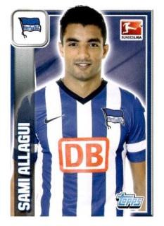 Sami Allagui – Fussball Bundesliga 2013/14, Nr. 31