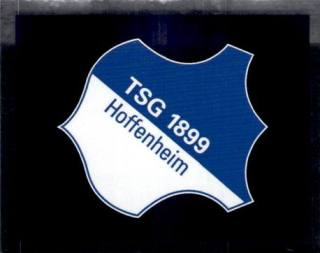 Wappen – Fussball Bundesliga 2010/11, n. 131