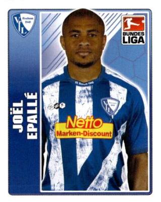 Joël Epalle – Fussball Bundesliga 2009/10, Nr. 42