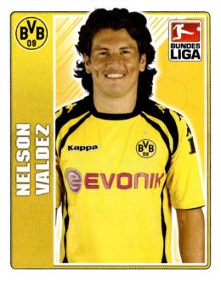 Nelson Valdez – Fussball Bundesliga 2009/10, n.º 84
