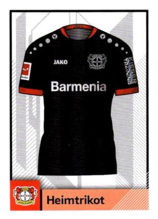 Heimtrikot – Fussball Bundesliga 2020/21, Nr. 247