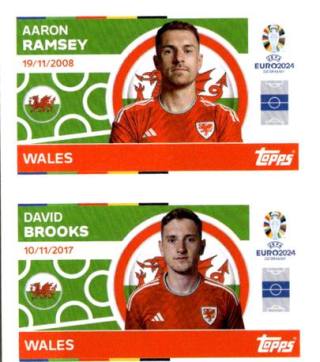 Aaron Ramsey / David Brooks – UEFA Euro 2024, n. WAL8-9