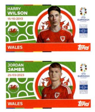 Harry Wilson / Jordan James – UEFA Euro 2024, n. WAL10-11