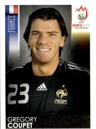 Grégory Coupet – UEFA Euro 2008 Austria-Switzerland, Nr. 338