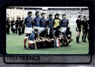 1984 France – UEFA Euro 2008 Austria-Switzerland, n.º 530