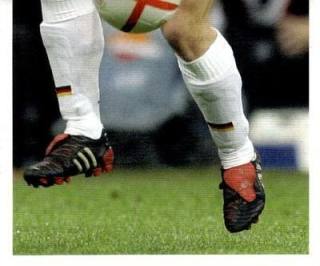 Fabian Ernst – Deutsches Nationalteam 2006, Nr. 110
