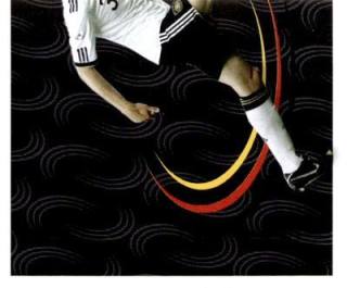 Arne Friedrich – Die Nationalmannschaft 2011, Nr. 55
