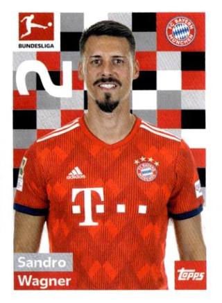 Sandro Wagner – Fussball Bundesliga 2018/19, Nr. 211