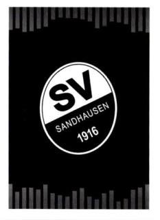 SV Sandhausen – Fussball Bundesliga 2017/18, Nr. 294
