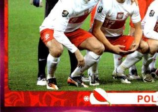 Team - Polska – UEFA Euro 2012 Poland-Ukraine - Deutschland Edition, Nr. 53