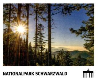 Schwarzwald – Schwarz Rot Gold, Nr. 292