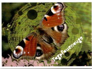 Sticker 110 – Shaun das Schaf - Shauns Sammelspaß, Nr. 110