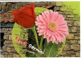 Sticker 115 – Shaun das Schaf - Shauns Sammelspaß, Nr. 115