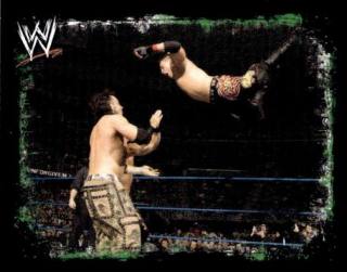 The Miz – WWE Rivals, n.º 33