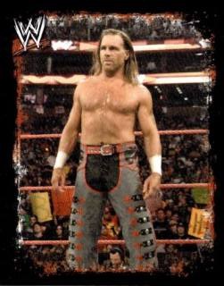 Shawn Michaels – WWE Rivals, n. 104