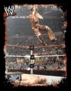 Shawn Michaels – WWE Rivals, n. 107
