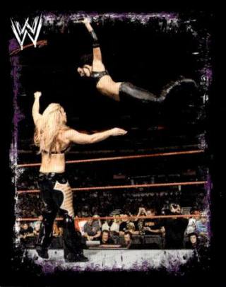 Candice – WWE Rivals, n. 131