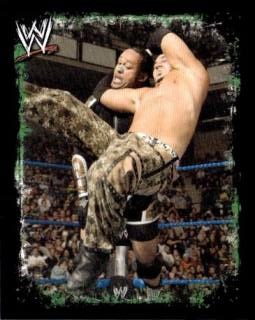 Matt Hardy – WWE Rivals, n. 136