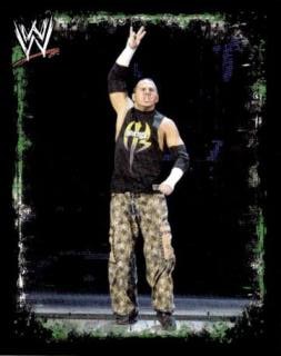 Matt Hardy – WWE Rivals, n. 142