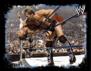 Chris Jericho – WWE Rivals, n. 152