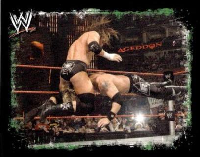 Triple H – WWE Rivals, n. 166