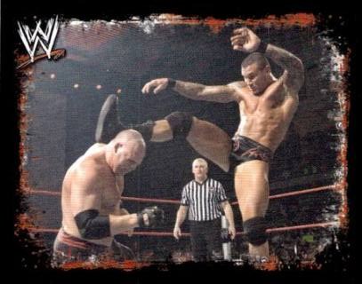 Randy Orton – WWE Rivals, n. 207