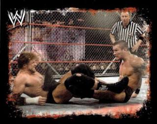 Randy Orton – WWE Rivals, n. 209