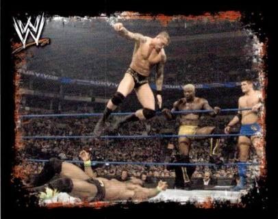Randy Orton – WWE Rivals, n. 212