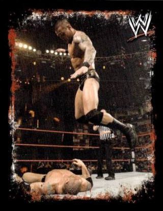 Randy Orton – WWE Rivals, n. 213
